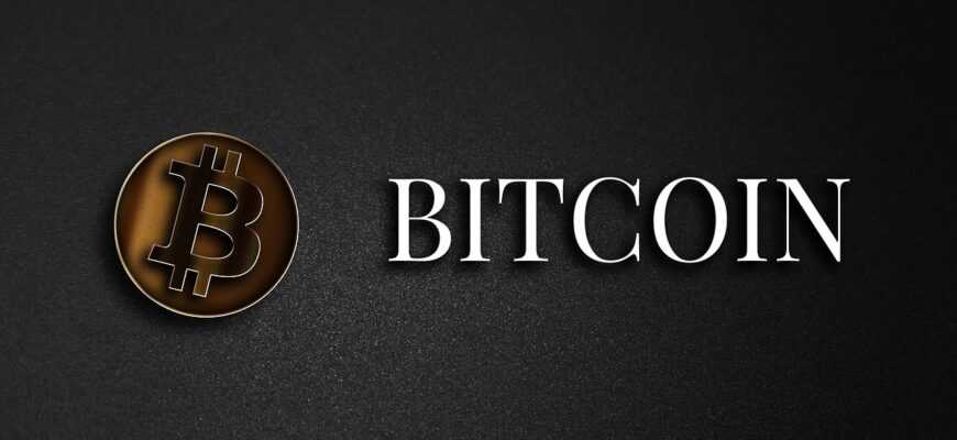 bitcoin, cryptocurrency, electronic money, gold, money, coin, currency, digital money, the internet currency, bitcoin, bitcoin, bitcoin, bitcoin, bitcoin, cryptocurrency, cryptocurrency