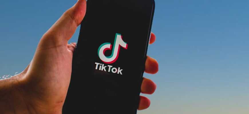 tiktok, tik tok, app, smartphone, iphone, tik tok banned, screen, mobile, technology, sky, tik tok china, palm, tiktok, tiktok, nature, tiktok, tiktok, tiktok, tik tok, tik tok, tik tok