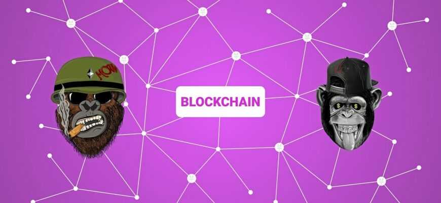 blockchain, crypto, ape, nft, non fungible token, non-fungible token, cryptocurrency, virtual, network, digital, concept