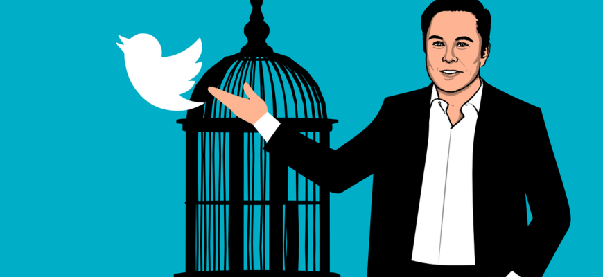 elon musk, twitter, owner, investor, inventor, celebrity, musk, tesla, entrepreneur, engineer, portrait, company, famous, technology, cartoon, work, tech, web, future, star, rich, freedom, business, elon musk, elon musk, elon musk, elon musk, elon musk